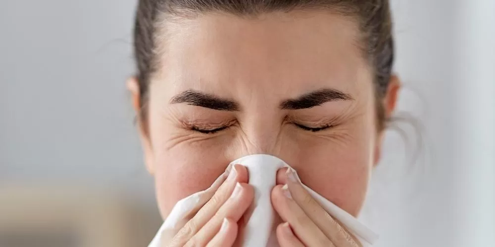 What is Allergic Cold (Rhinitis)? What Causes It?